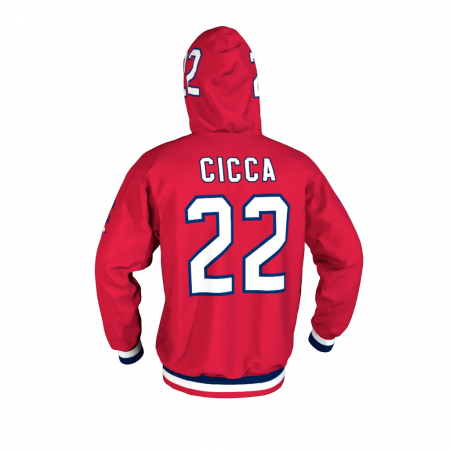 Washington DC Custom Hoodie Back