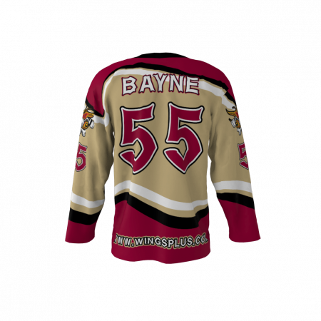 Wings Plus Hot Shots Custom Ice Hockey Jersey