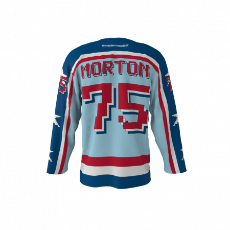 16-Bit Legends Custom Ice Hockey Jersey