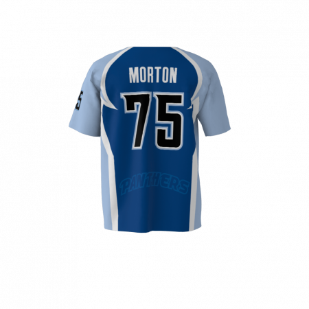 Panthers Custom Dye Sublimated Full Button Baseball Jersey