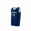 Panthers Basketball Jersey