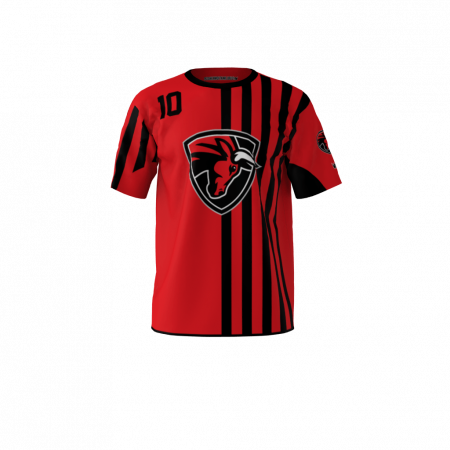 Bulls Soccer Jersey