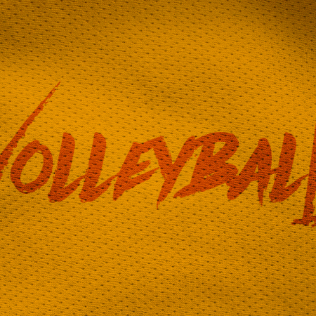 Volleyball