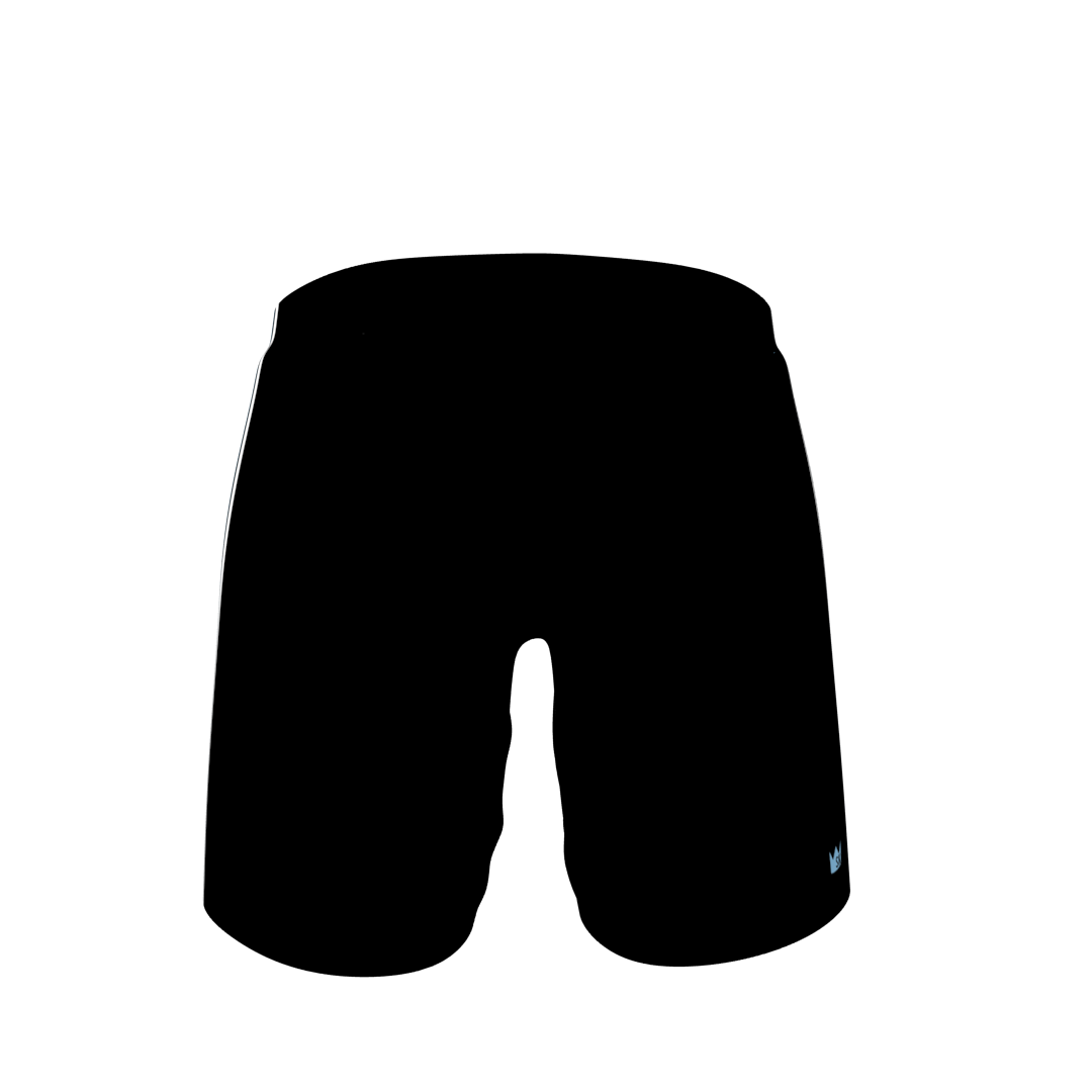 NGH Ice Hockey Pant Shell - Image 4