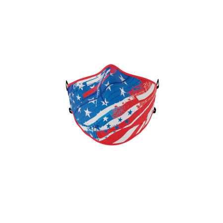 Stars and Stripes Face Mask