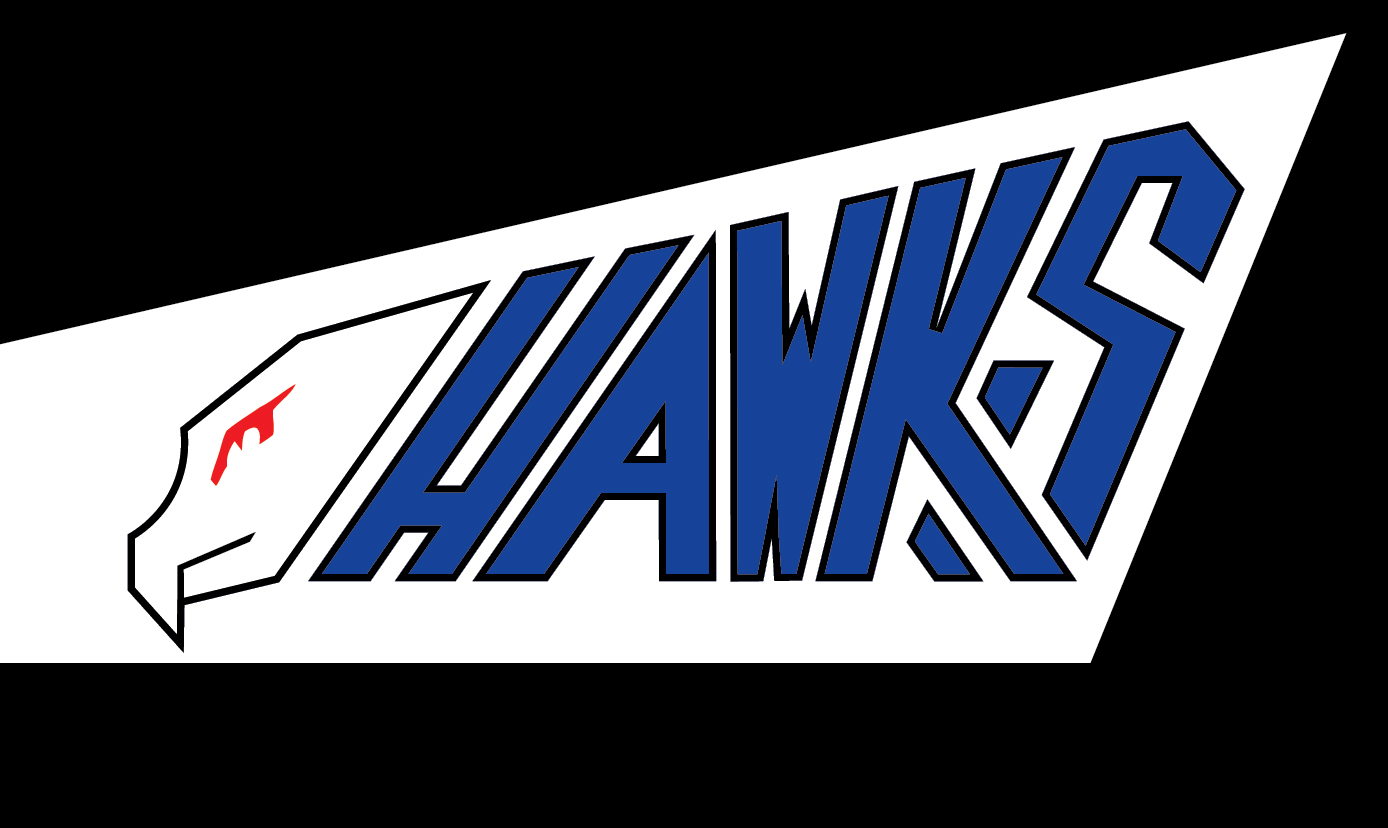 District 6 Hawks Hockey Jersey - Image 3