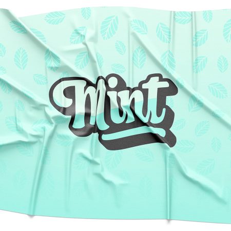 Mint Logo Rendering