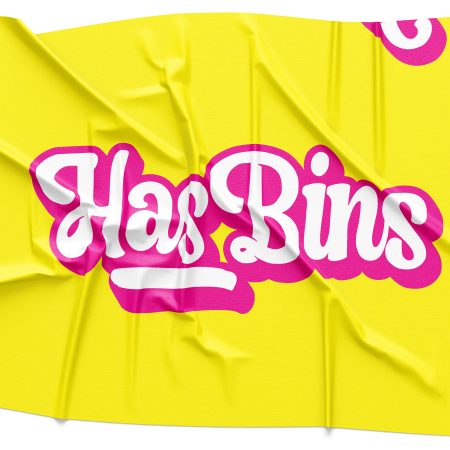 Has Bins Logo Rendering