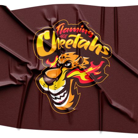 Flaming Hot Cheetahs Logo Rendering