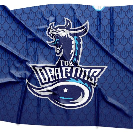 Toe Dragons Logo Rendering on Fabric