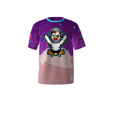 Astro Chickens Softball Jersey